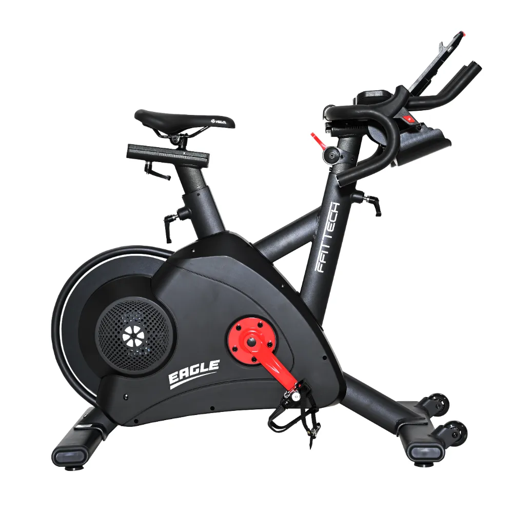 Indoor Bike Eagle